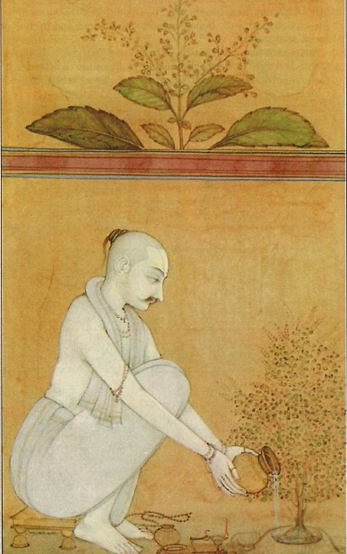 Tulsi and Rudraksha