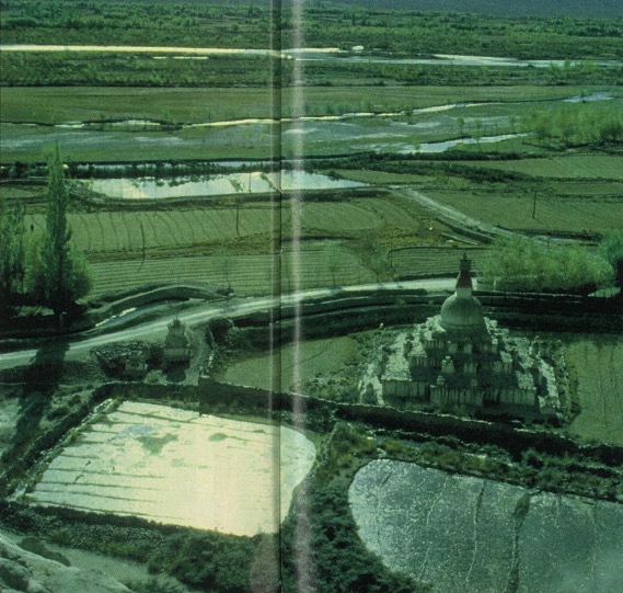 India – Once Plentiful