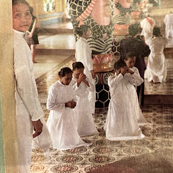 Vietnamese Hybrid Faith