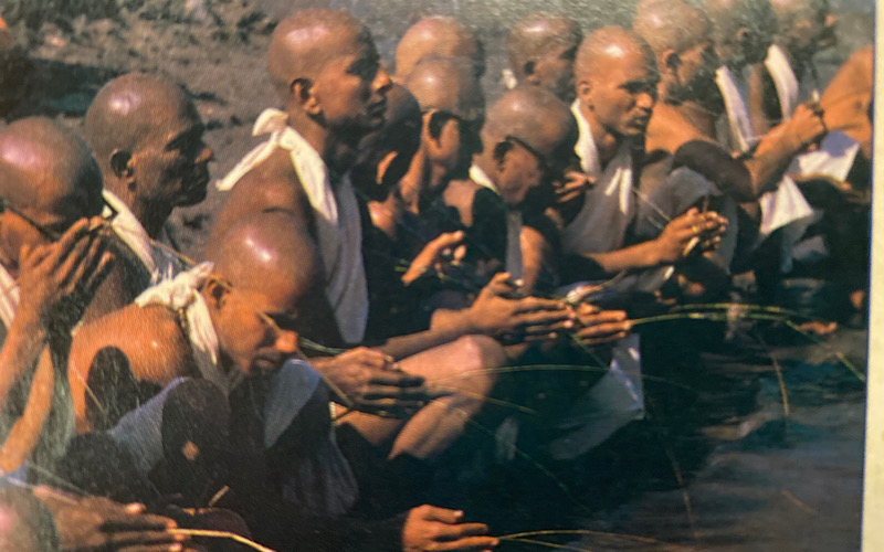 Raising Consciousness Instead of Children