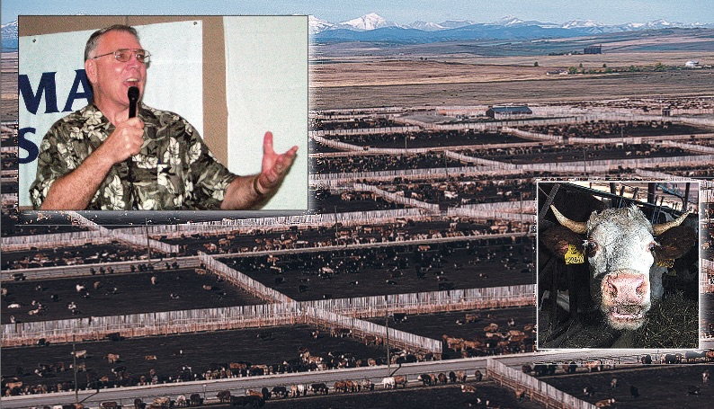 Can Cattle Threaten Our Life?