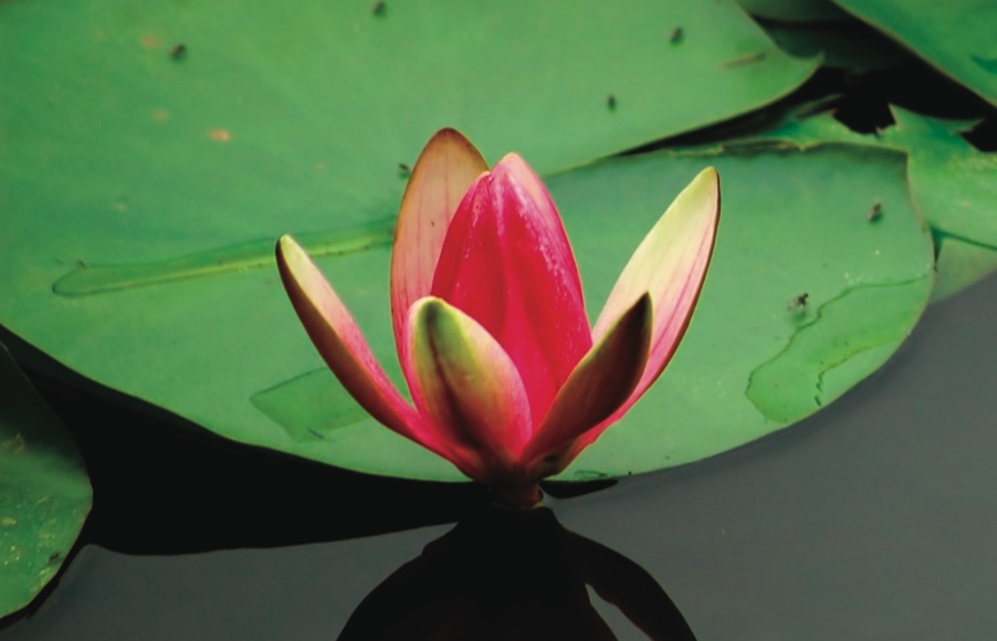All About Meditation