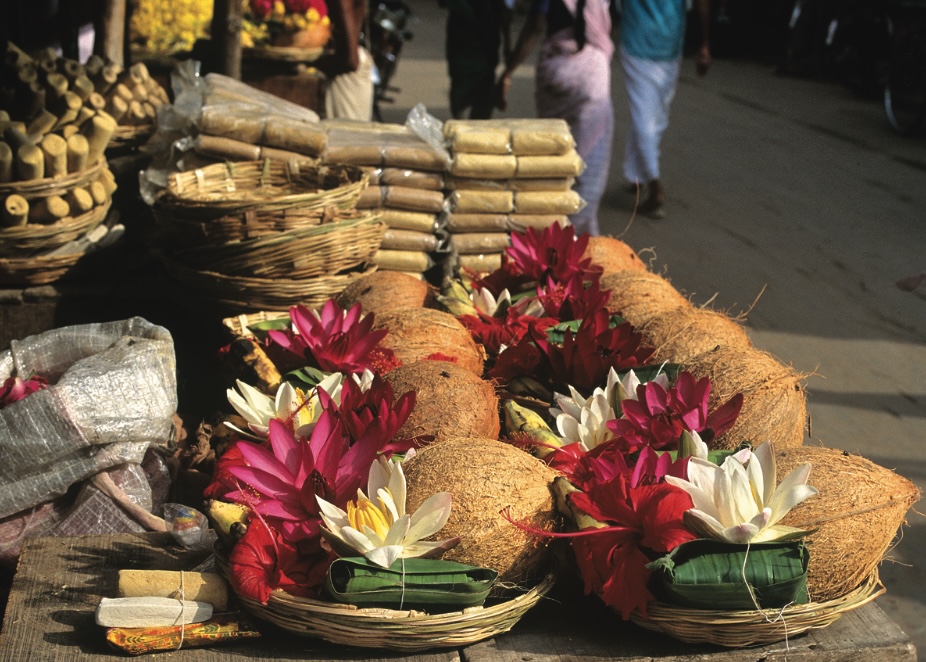 Insight: Approaching God – Elements of Worship & From Shrine to Temple