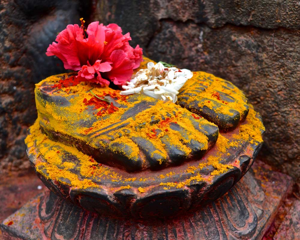 Festivals: Guru Purnima