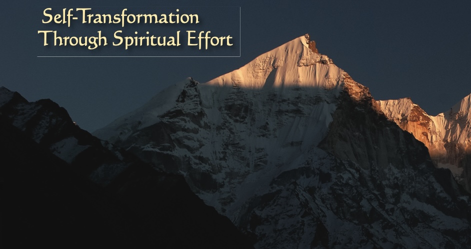 Educational Insight: Sadhana