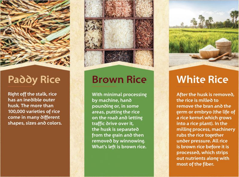 Food: Why Brown Rice Is Healthier