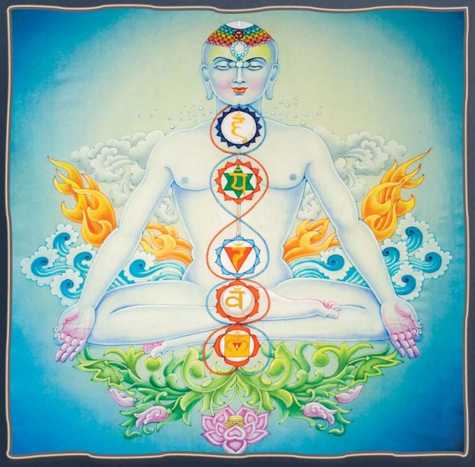 Educational Insight: Our Grand Chakra Journey