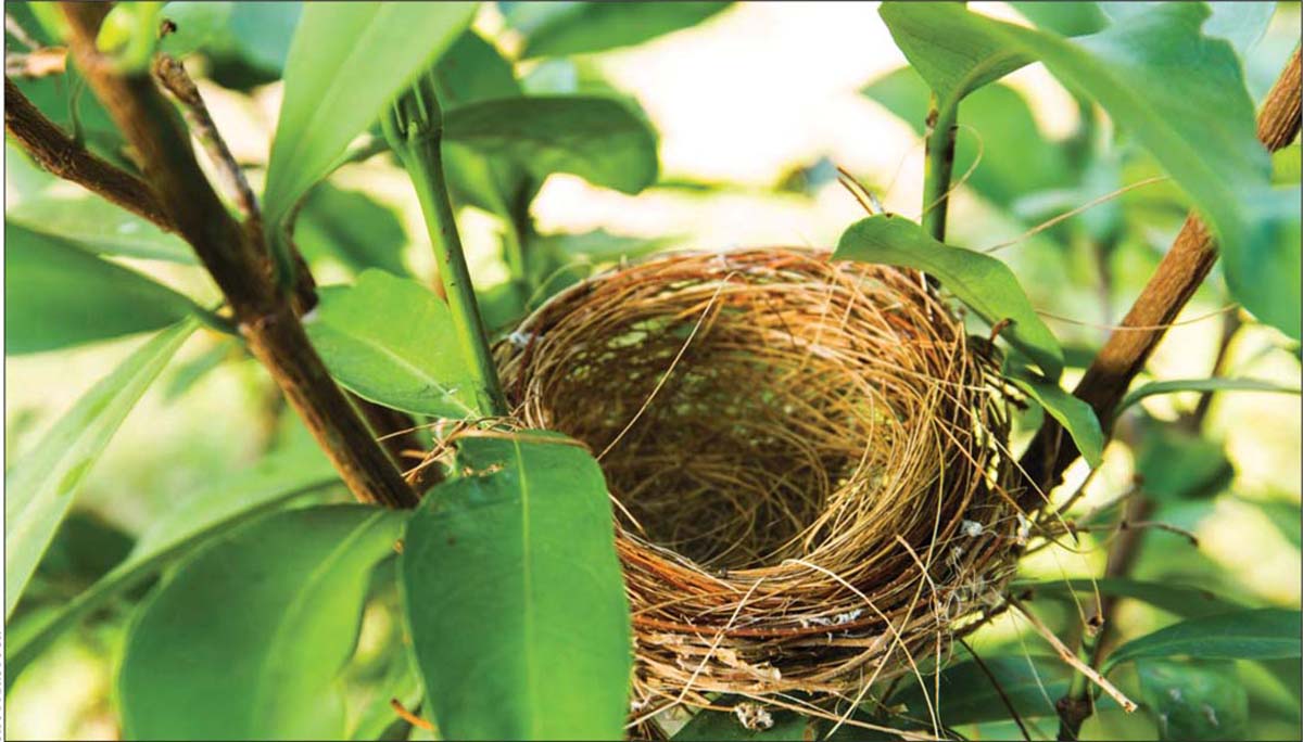 Embracing Life’s Changes as Natural Stages