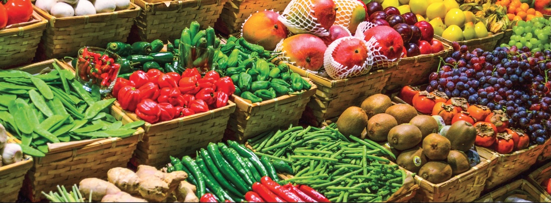 Nutrition: You Are What Your Ancestors Ate
