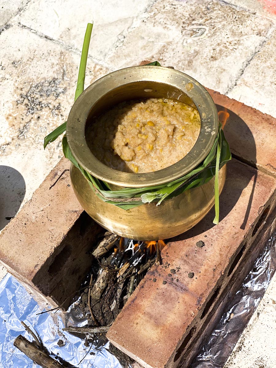 “Pongalo Pongal”
