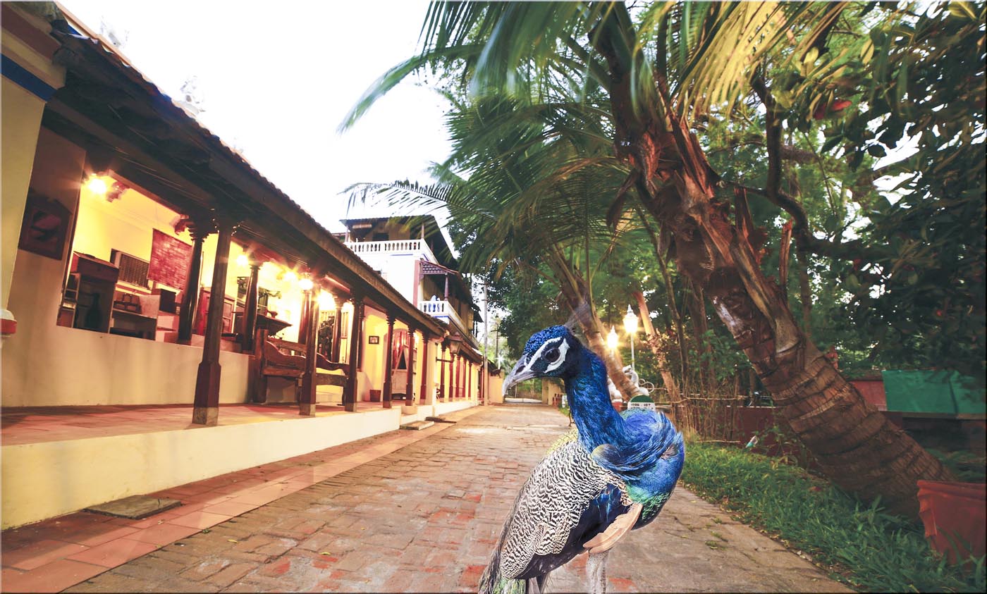 INDeco Hotels: Luxury Lodging Meets Spirituality & Ecology
